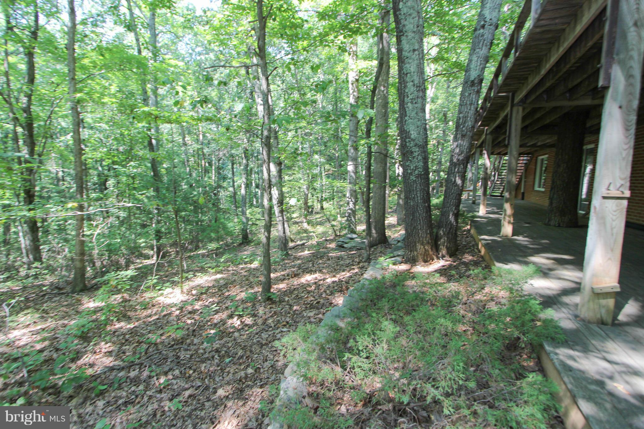 9325 Mountjoy Road Marshall, VA 20115 - Photo 29 of 30 a view of forest
