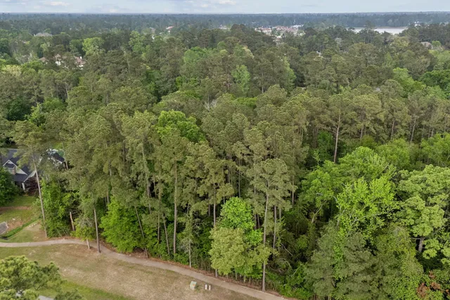 a view of a yard with a trees
