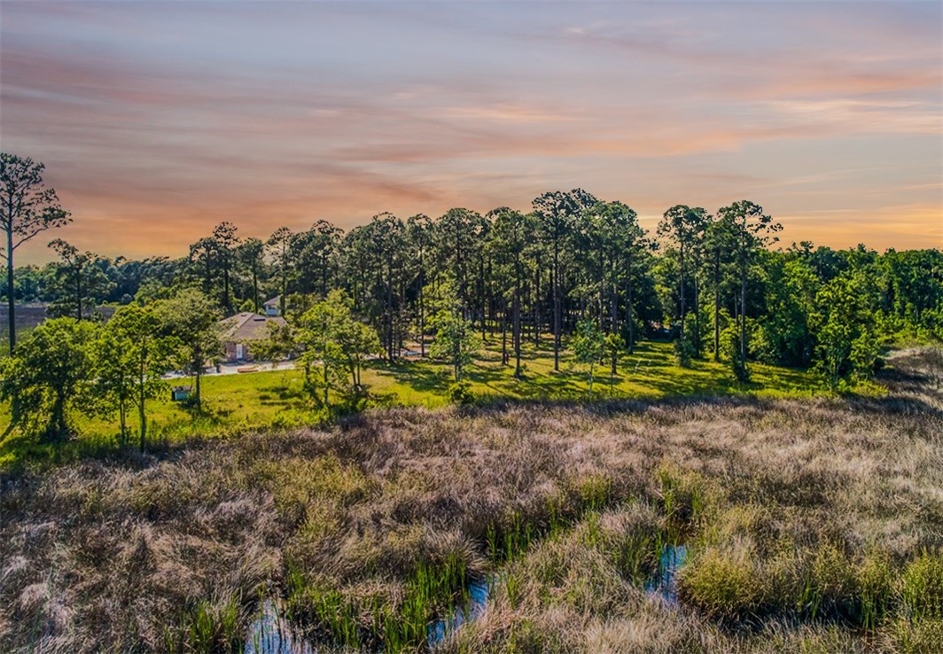 Amanda Court Yulee, FL 32097 - Photo 2 of 9 Gallery Image 2