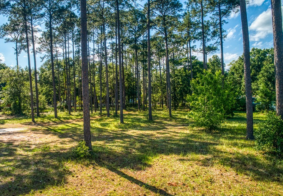 Amanda Court Yulee, FL 32097 - Photo 3 of 9 Gallery Image 3