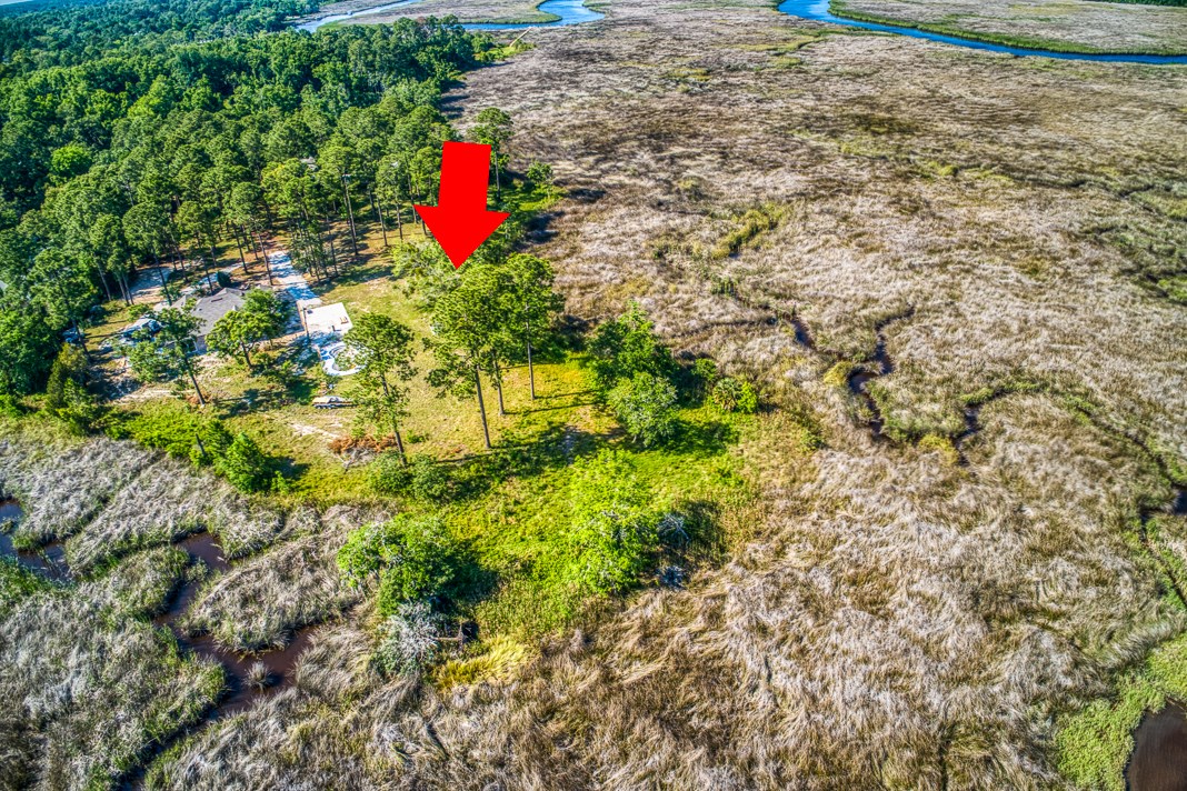 Amanda Court Yulee, FL 32097 - Photo 4 of 9 Gallery Image 4