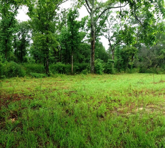 Lot 6 Sowell Road Dothan, AL 36301 - Photo 1 of 1