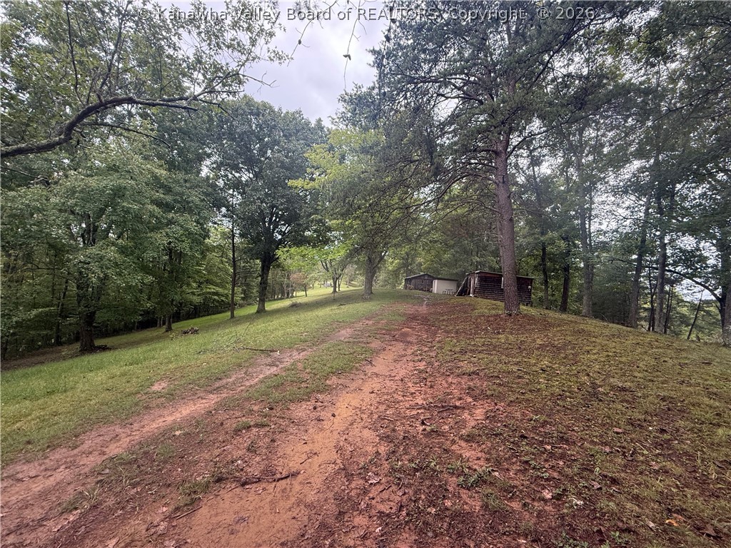 7438 Stone Lick Road Gay, WV 25244 - Photo 6 of 14 Gallery Image 6