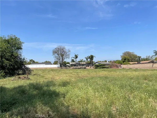 a view of a field with an ocean