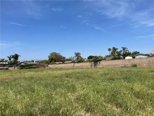 a view of a field of grass and trees