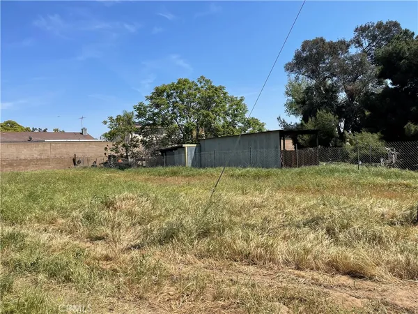 a view of a yard with a tree