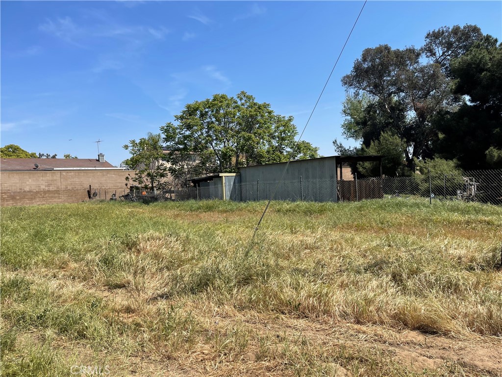 711 Meridian Grand Terrace, CA 92324 - Photo 4 of 15 a view of a yard with a tree
