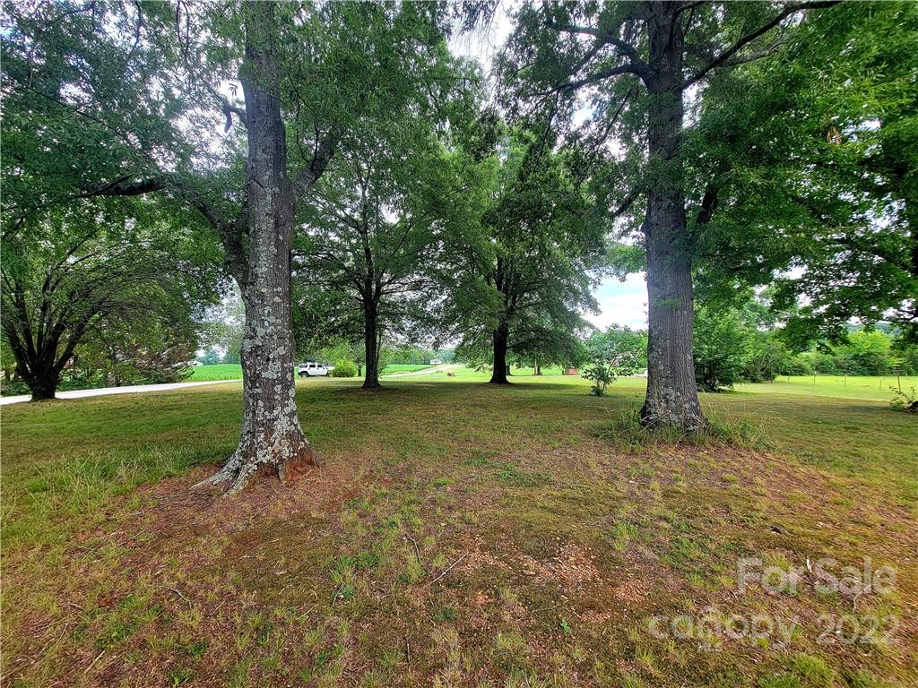 3100 Old Monroe Marshville Road Wingate, NC 28174 - Photo 11 of 15 a view of a tree in the middle of a yard