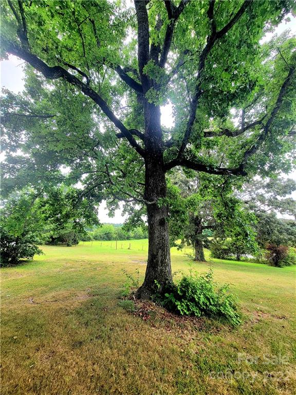 3100 Old Monroe Marshville Road Wingate, NC 28174 - Photo 13 of 15 a view of a yard with a tree