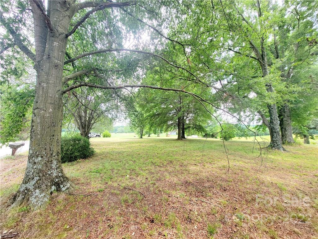 3100 Old Monroe Marshville Road Wingate, NC 28174 - Photo 9 of 15 a view of a yard with a tree
