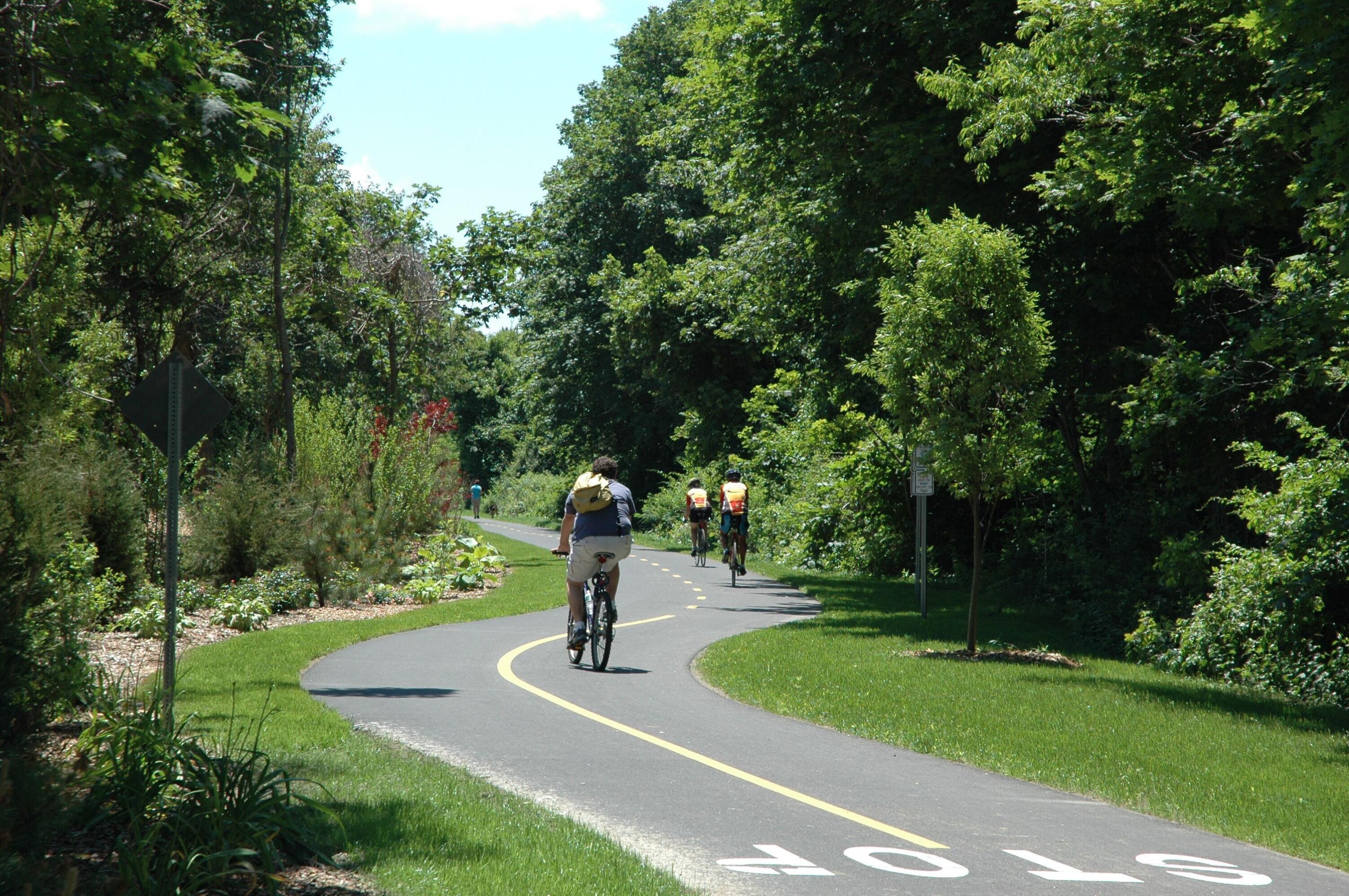 30 Davis Road Falmouth, MA 02540 - Photo 37 of 38 a park view with a fountain and a tree