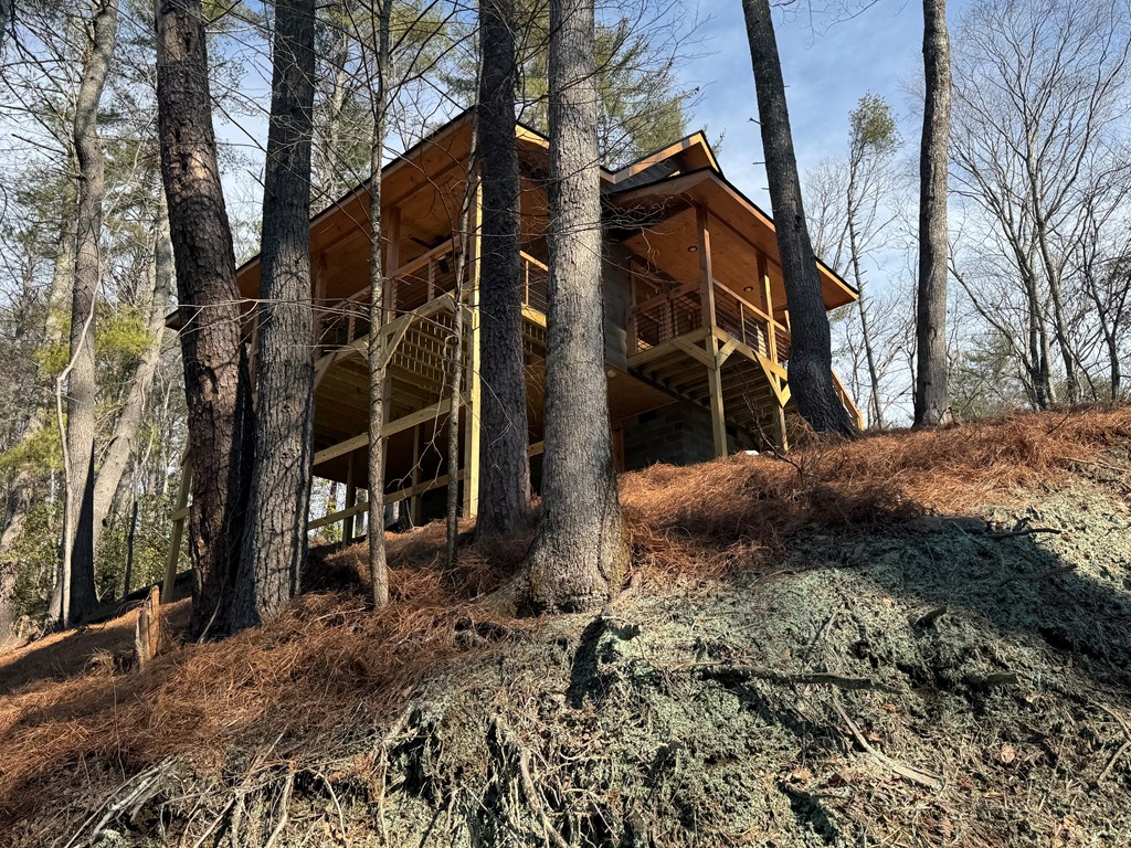 846 Joann Sisson Road Blue Ridge, GA 30513 - Photo 22 of 39 Gallery Image 22