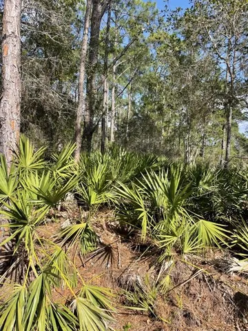 $70,000 | 32 Fyfe Avenue, DeBary, FL 32713