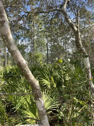 $70,000 | 32 Fyfe Avenue, DeBary, FL 32713