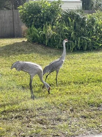 $70,000 | 32 Fyfe Avenue, DeBary, FL 32713