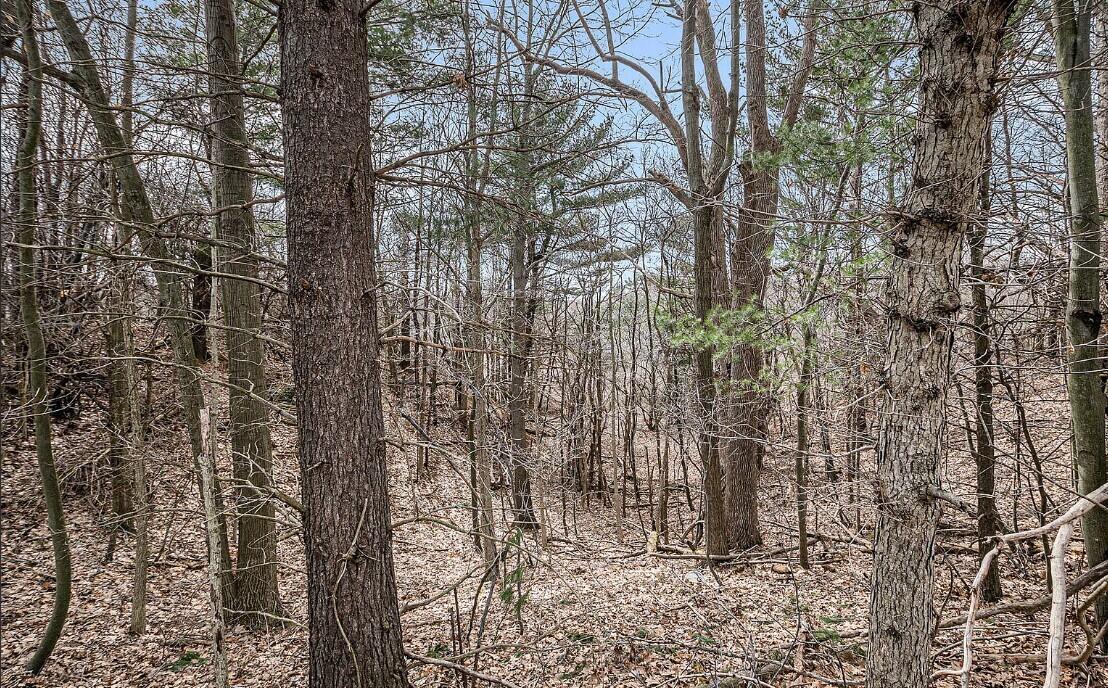 4832 West Monroe Road Pentwater, MI 49449 - Photo 20 of 26 Screenshot 2026-03-24 084404