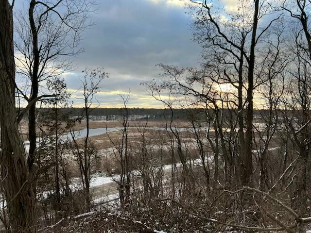 4832 West Monroe Road Pentwater, MI 49449 - Photo 2 of 26 IMG_6804
