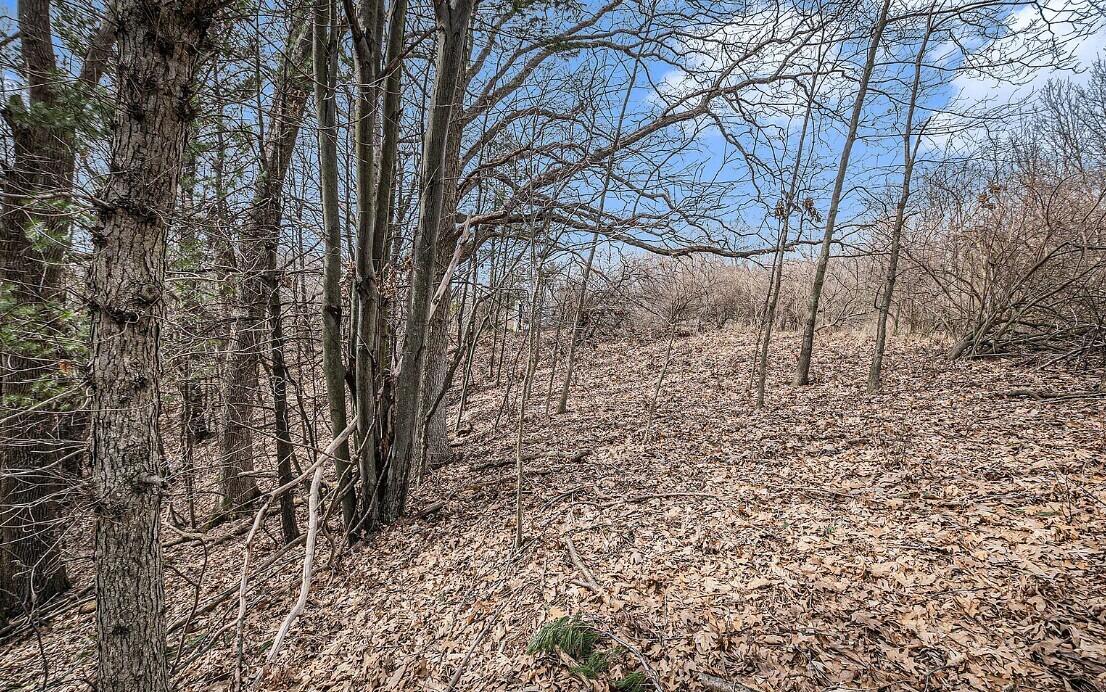 4832 West Monroe Road Pentwater, MI 49449 - Photo 21 of 26 Screenshot 2026-03-24 084423