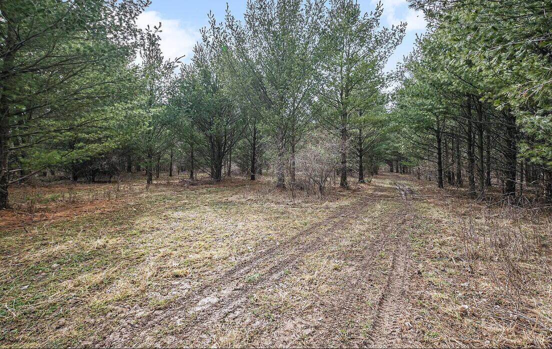 4832 West Monroe Road Pentwater, MI 49449 - Photo 23 of 26 Screenshot 2026-03-24 084504
