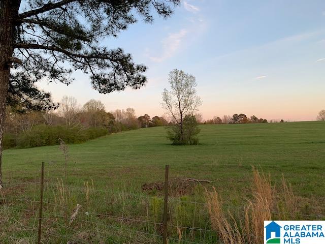 29 Highway Oneonta Al, Unit 70 Oneonta, AL 35121 - Photo 2 of 10