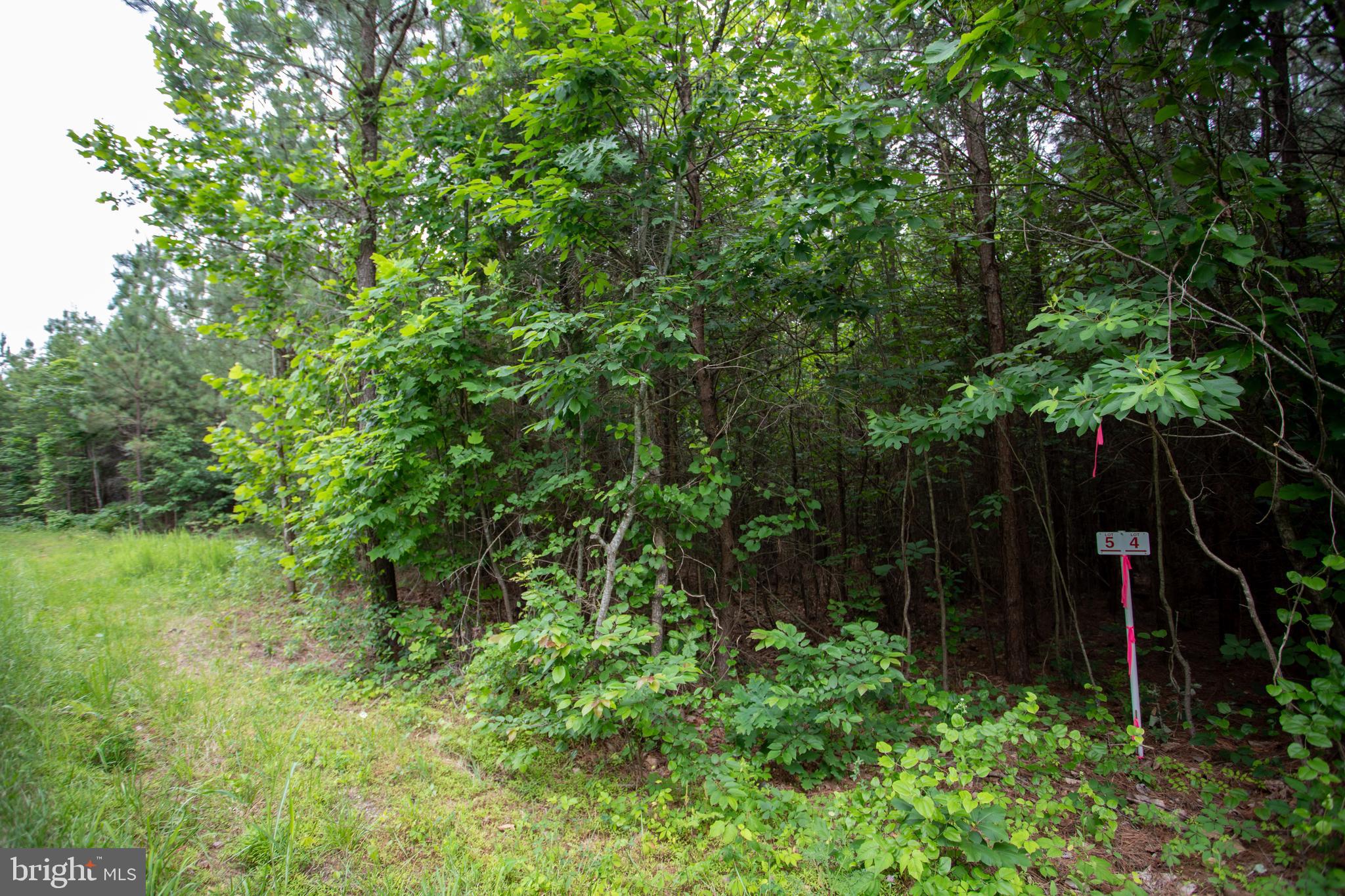 Tbd Trents Cemetery Road, Unit LOT 6 Phenix, VA 23959 - Photo 12 of 19