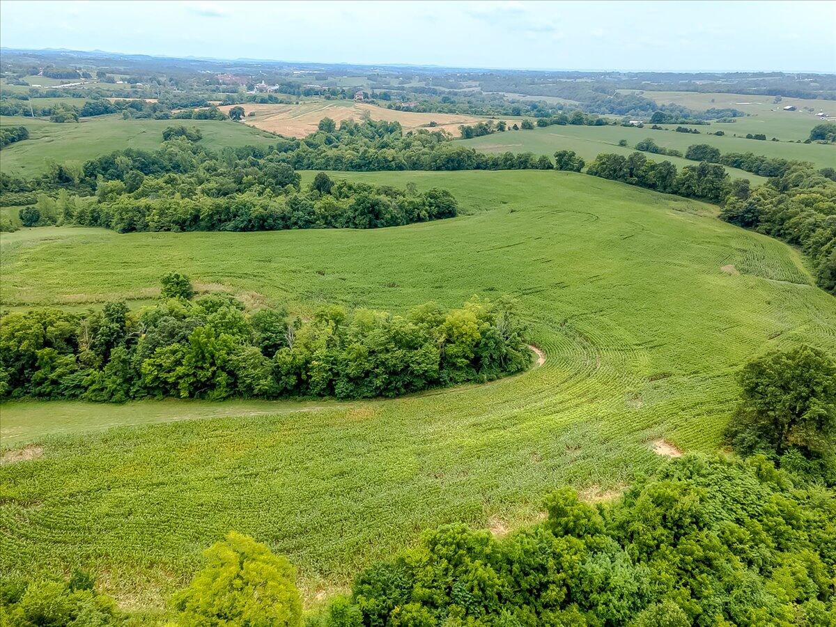 2888 Bardstown Road Springfield, KY 40069 - Photo 95 of 106 095-6-27