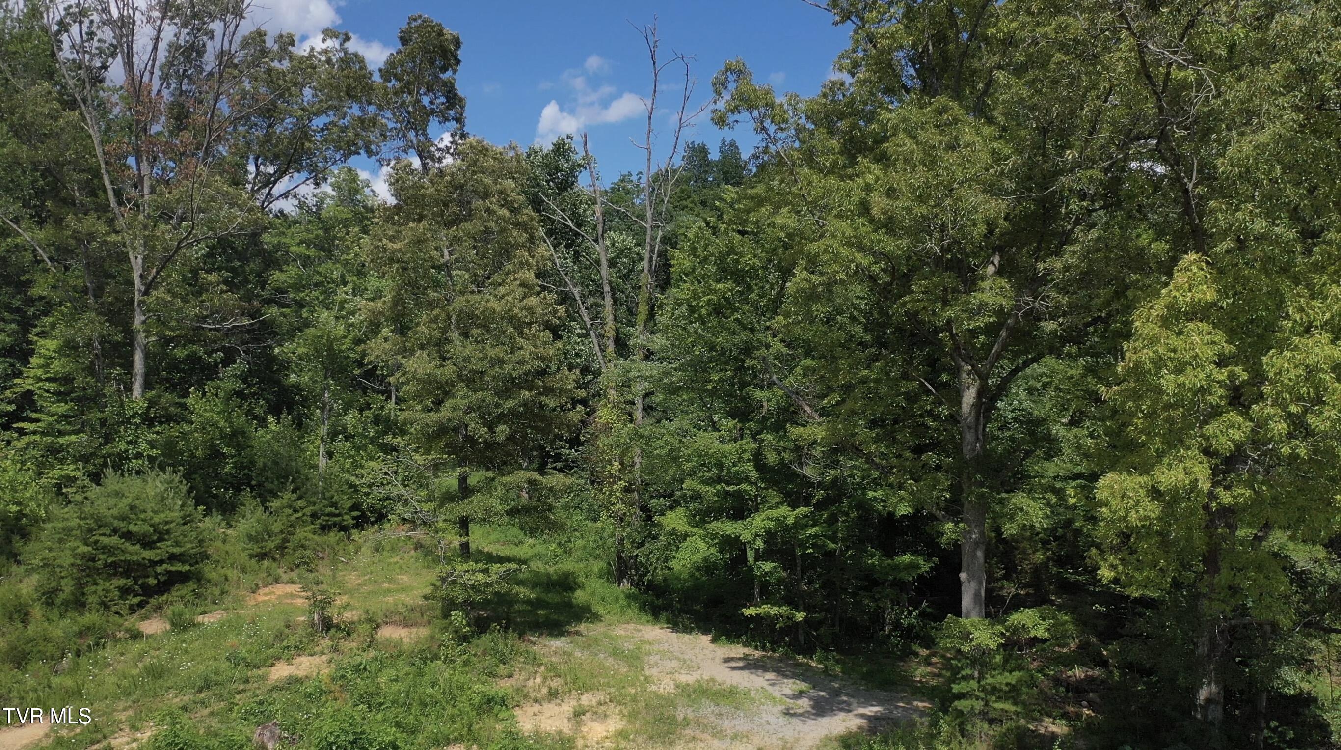 12-ac Max Jett Road Johnson City, TN 37601 - Photo 10 of 27 _Pic11 (1)