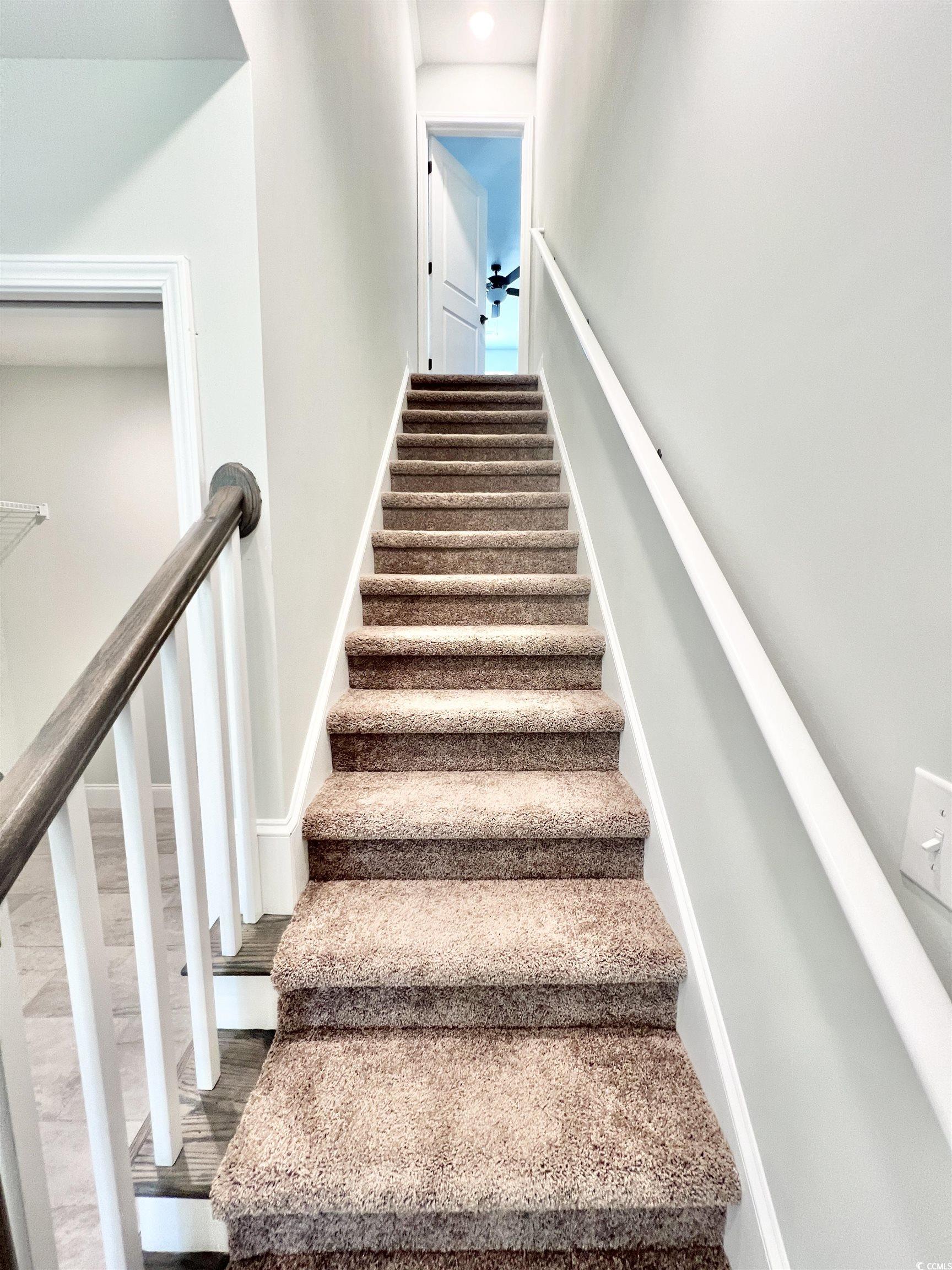 1174 Daisy Road Loris, SC 29569 - Photo 33 of 33