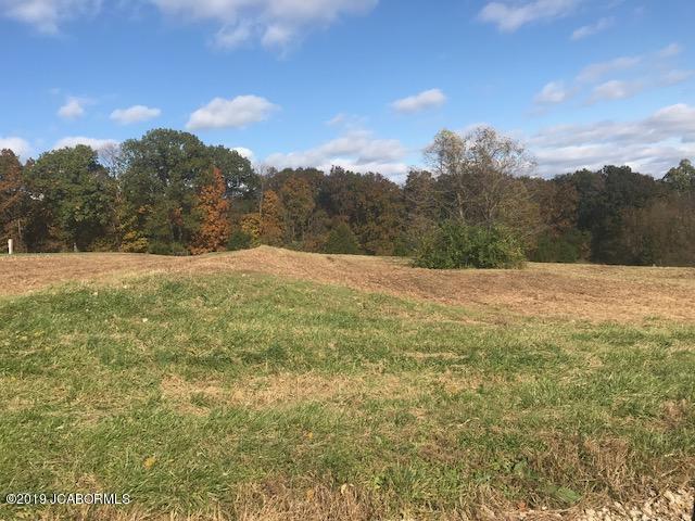 Tbd Country View Drive Tebbetts, MO 65080 - Photo 1 of 1