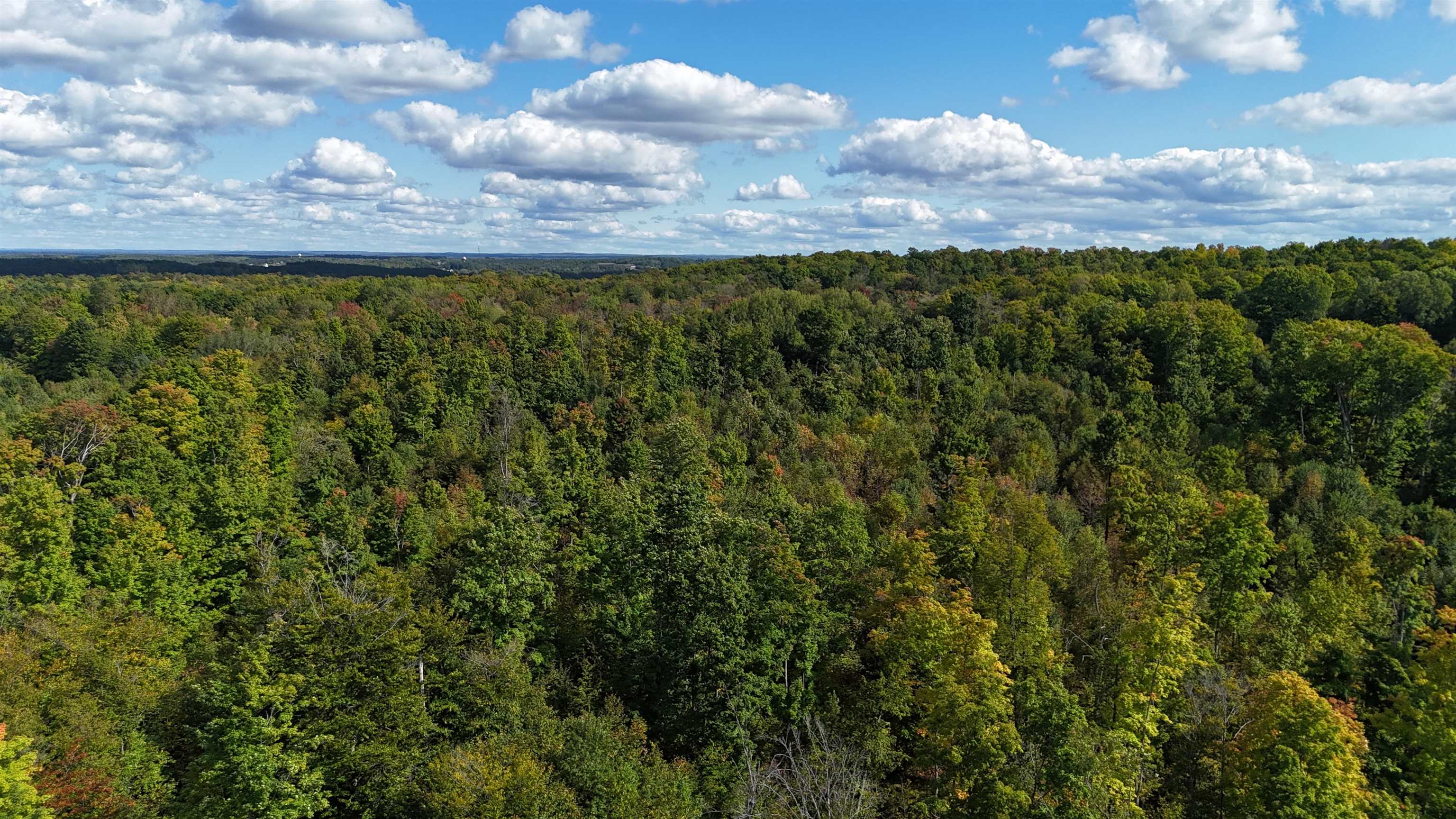 Hency Road Kingsley, MI 49649 - Photo 3 of 8