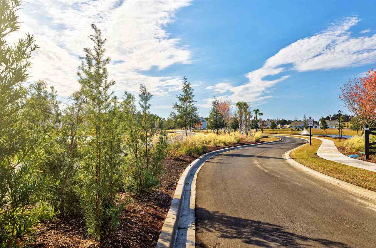 10119 Hamilton Branch Loop Myrtle Beach, SC 29579 - Photo 29 of 40 Gallery Image 29