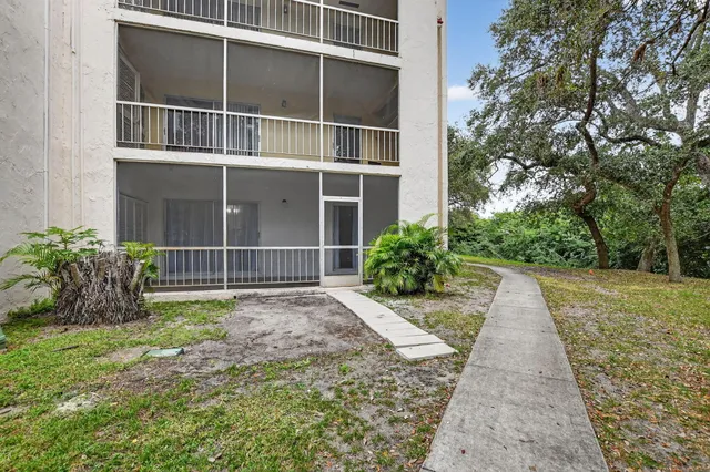 a view of a backyard with plants and large trees