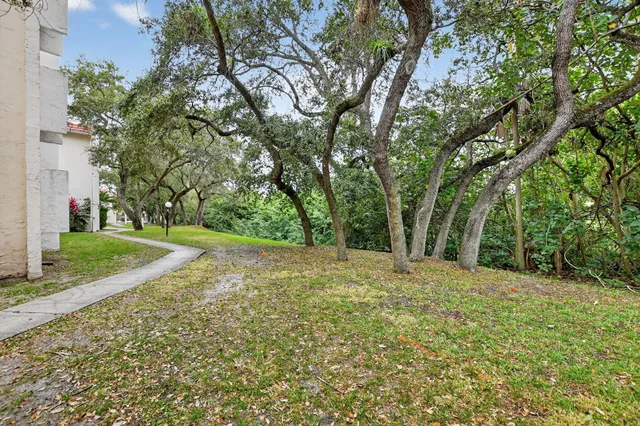 a view of a yard with large trees