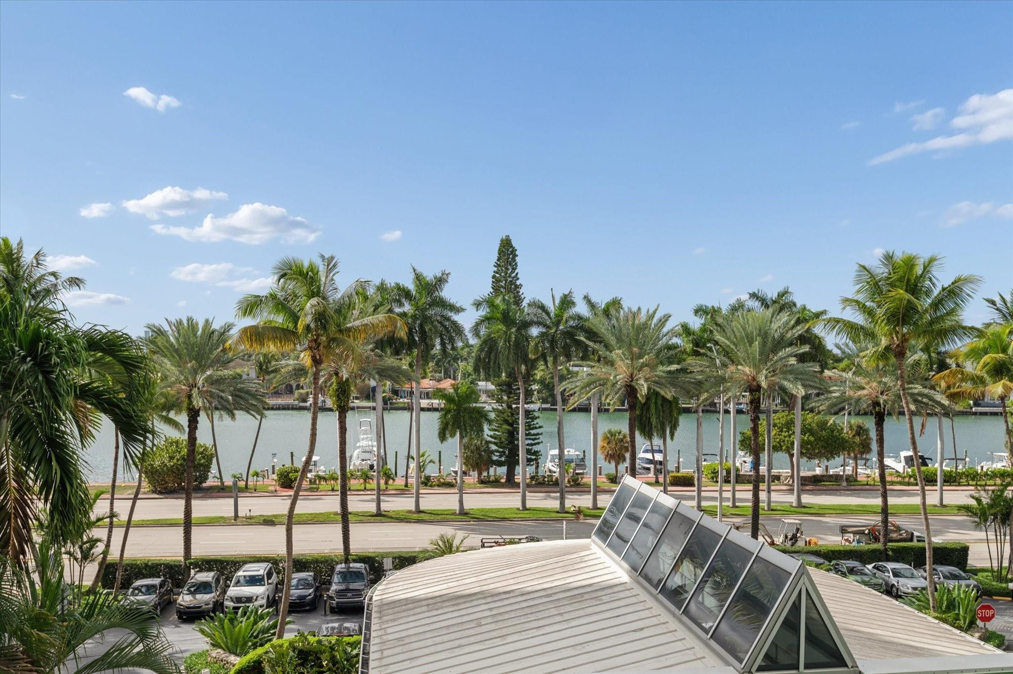 5151 Collins Avenue, Unit 520 Miami Beach, FL 33140 - Photo 2 of 14 a view of a yard with palm trees