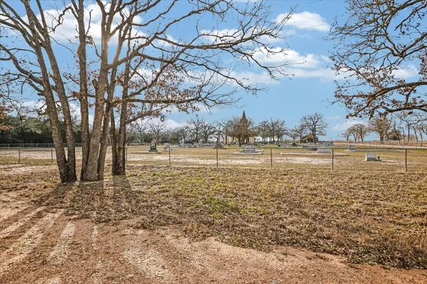 a view of a yard with large trees