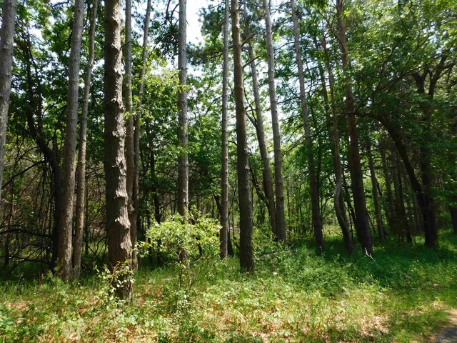 $38,500 | N4502 Pine Montello Wi 53949, Montello, WI 53949