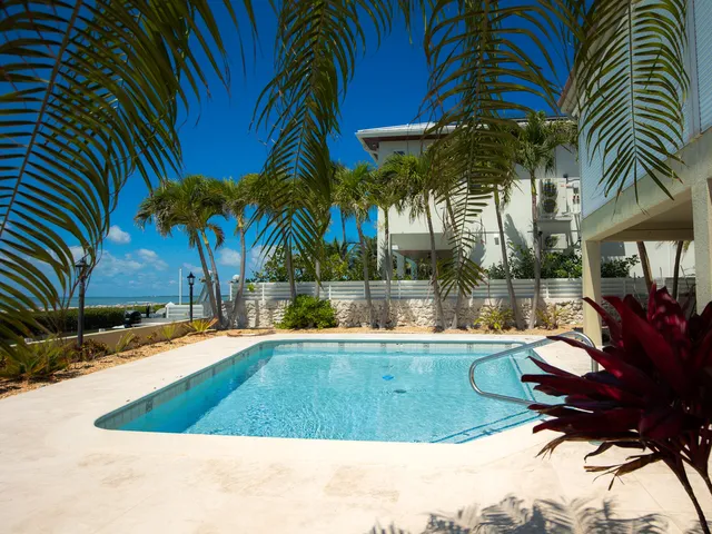 an aerial view of multiple houses with yard