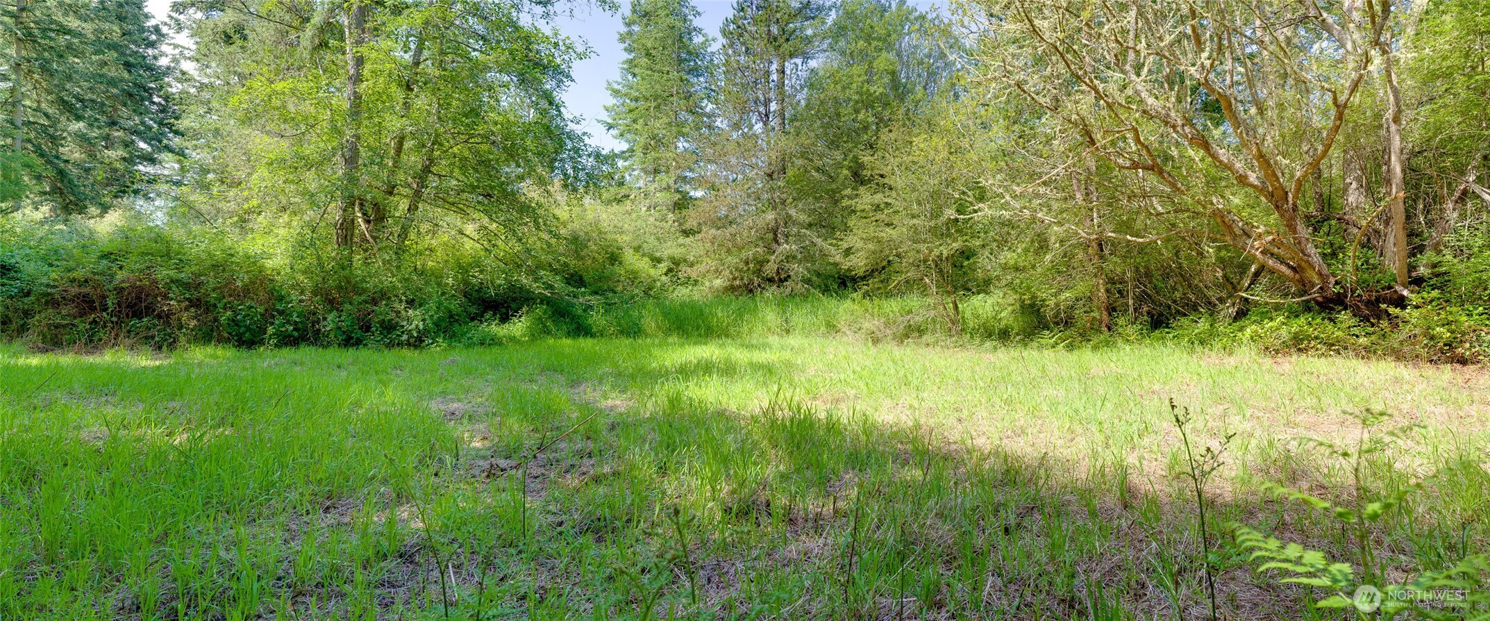1486 Center Road Lopez Island, WA 98261 - Photo 1 of 12 a view of a garden
