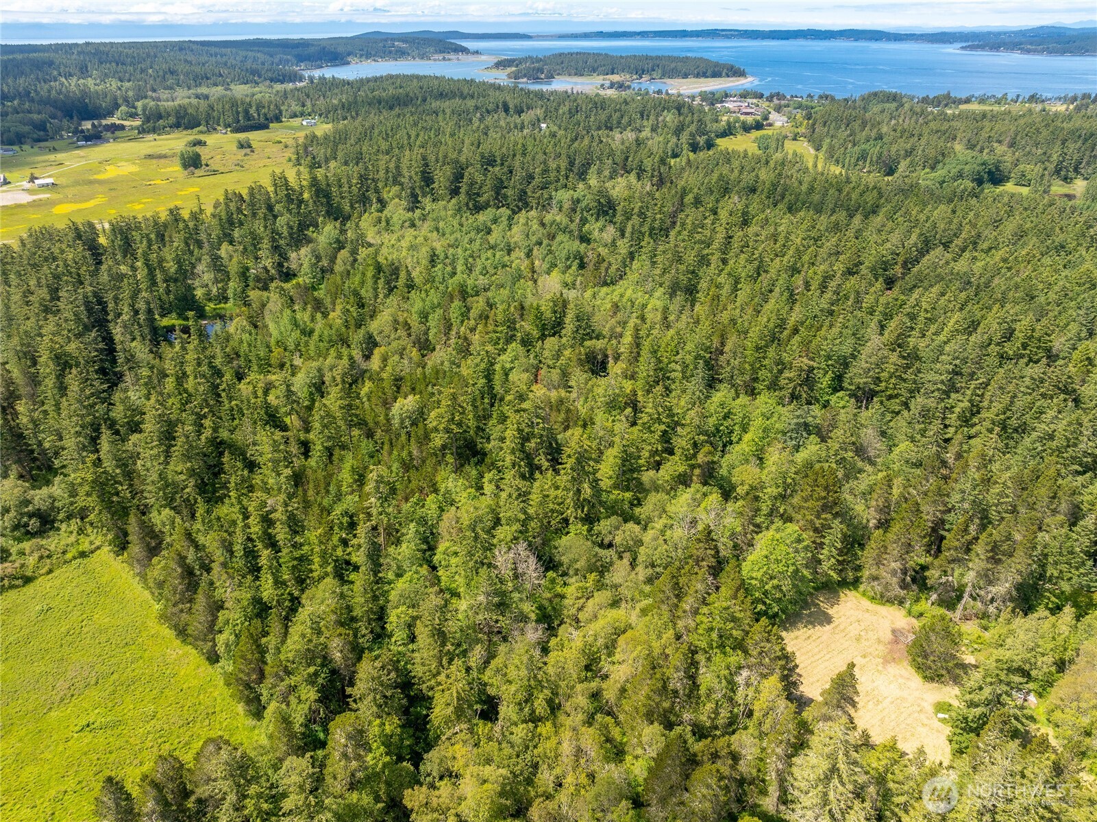 1486 Center Road Lopez Island, WA 98261 - Photo 11 of 12 a view of a field with an ocean view