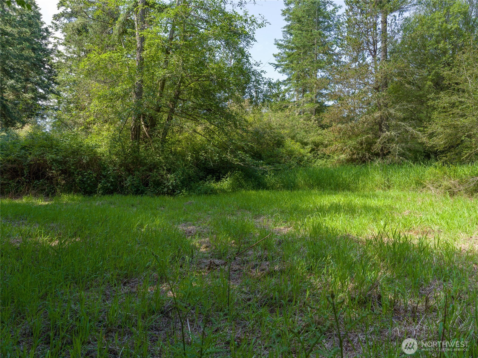 1486 Center Road Lopez Island, WA 98261 - Photo 2 of 12 a view of yard with green space