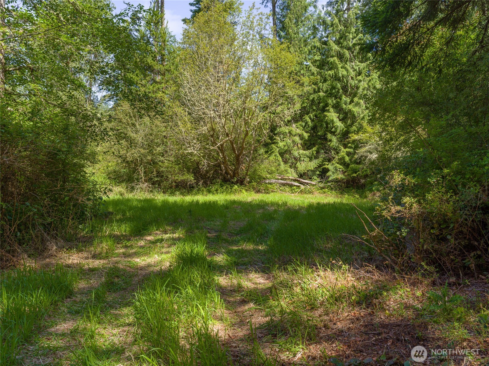 1486 Center Road Lopez Island, WA 98261 - Photo 4 of 12 a view of a lush green space