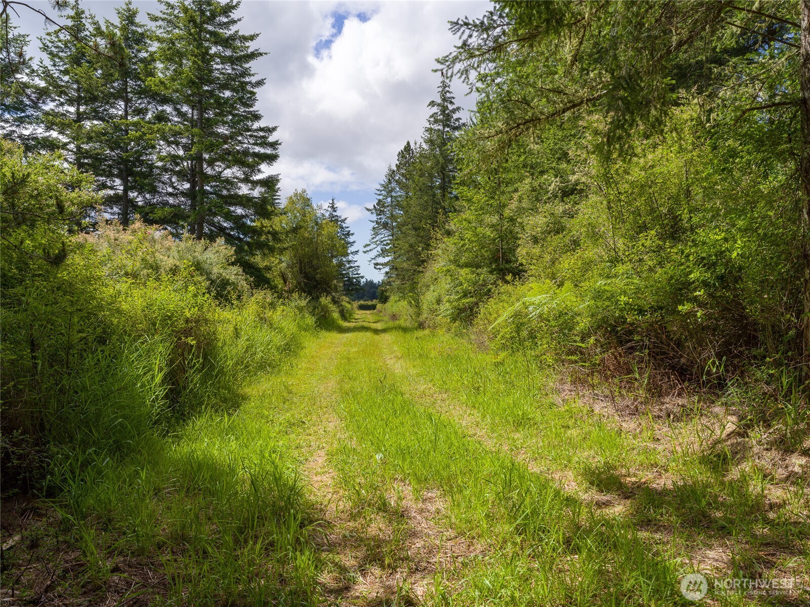 1486 Center Road Lopez Island, WA 98261 - Photo 5 of 12 a view of a yard