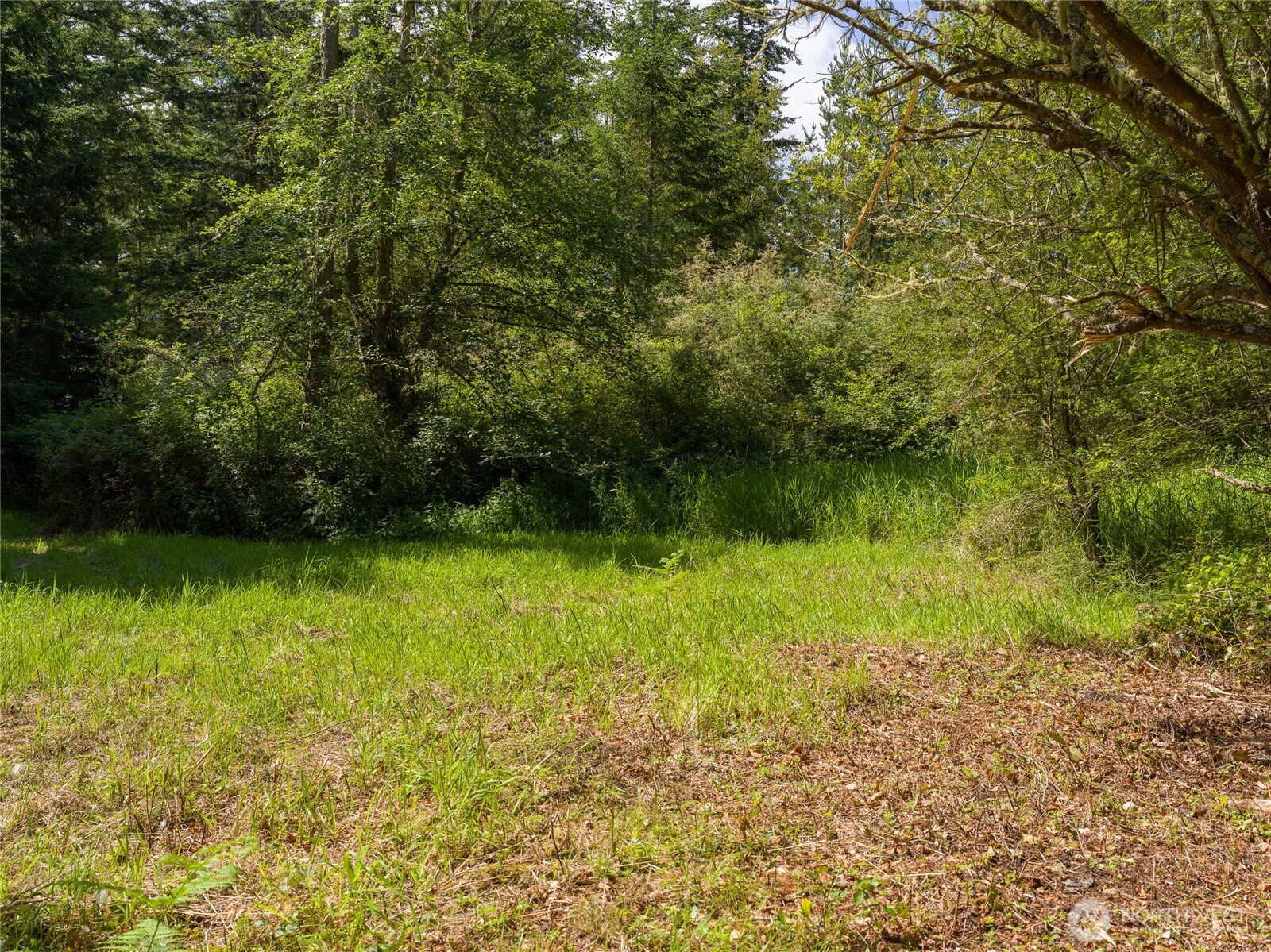 1486 Center Road Lopez Island, WA 98261 - Photo 6 of 12 a view of a lake view