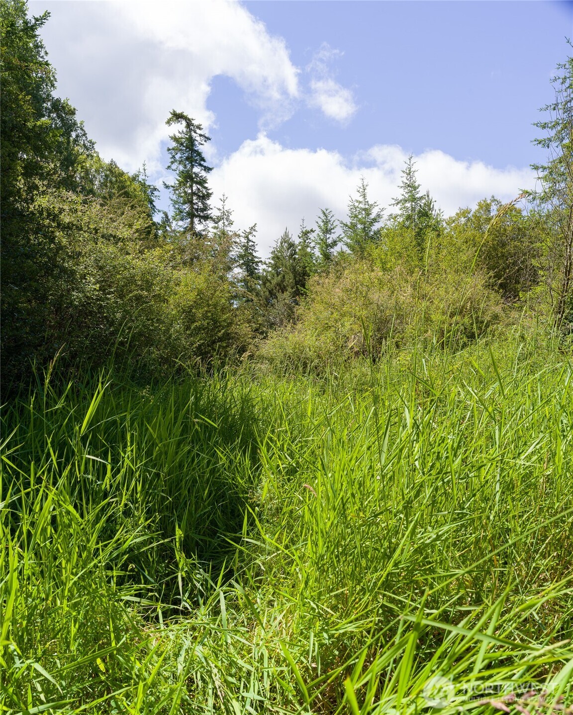 1486 Center Road Lopez Island, WA 98261 - Photo 7 of 12 a view of a garden