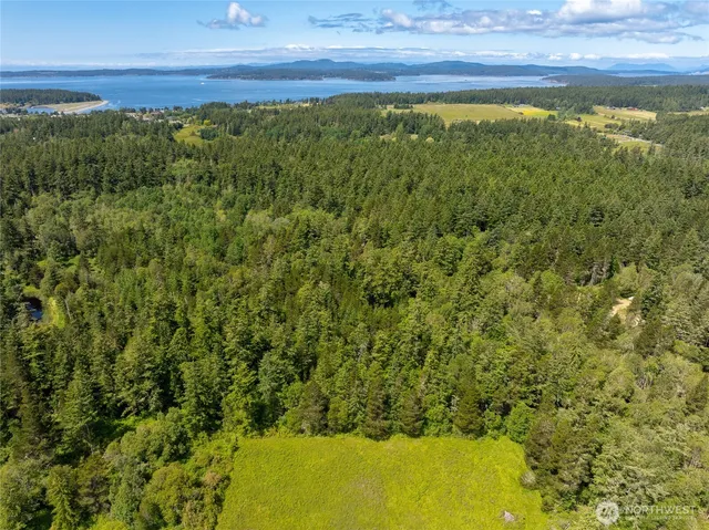 a view of a yard with an outdoor space
