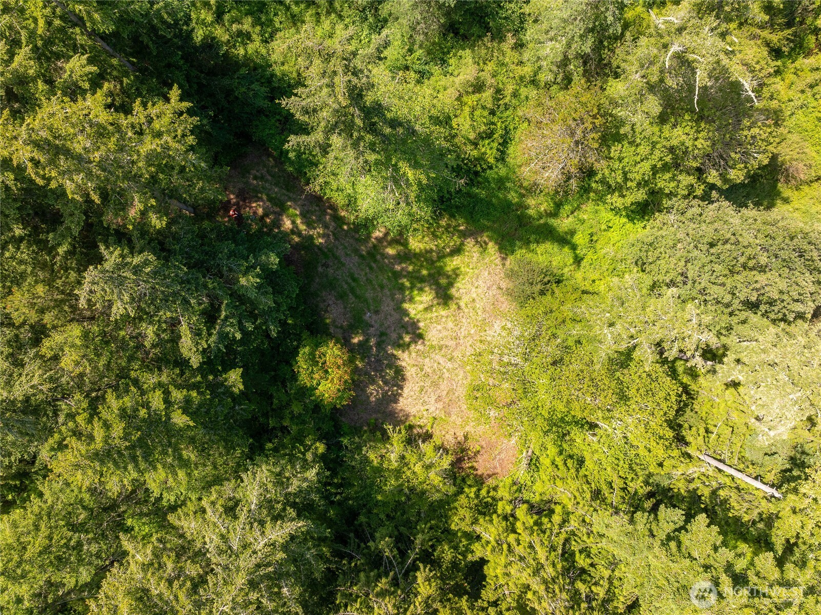 1486 Center Road Lopez Island, WA 98261 - Photo 9 of 12 a view of a big yard