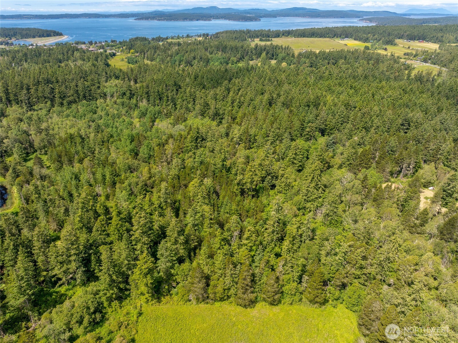 1486 Center Road Lopez Island, WA 98261 - Photo 10 of 12 a view of a field with an outdoor space