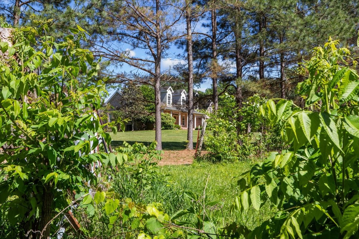 2440 Maple Grove Road Dickson, TN 37055 - Photo 45 of 87 a backyard of a house with lots of green space