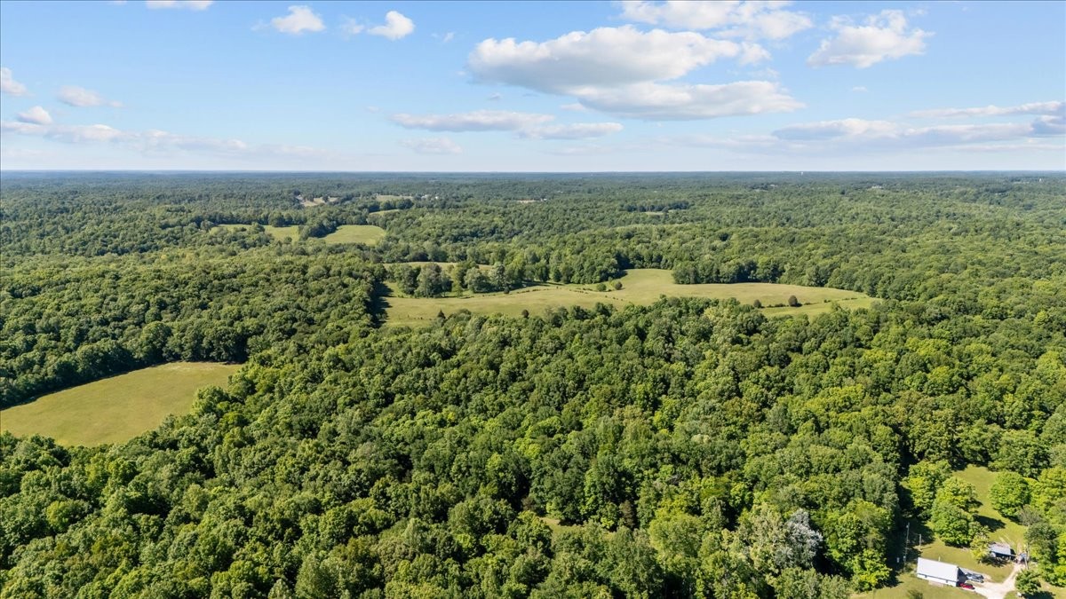 2440 Maple Grove Road Dickson, TN 37055 - Photo 55 of 87 a view of a big yard with lots of green space