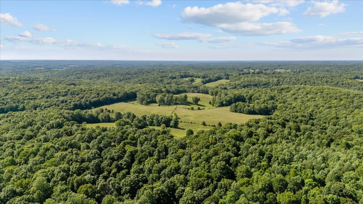 2440 Maple Grove Road Dickson, TN 37055 - Photo 57 of 87